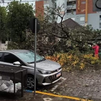 Temporal causa falta de luz e derruba diversas árvores em Garibaldi