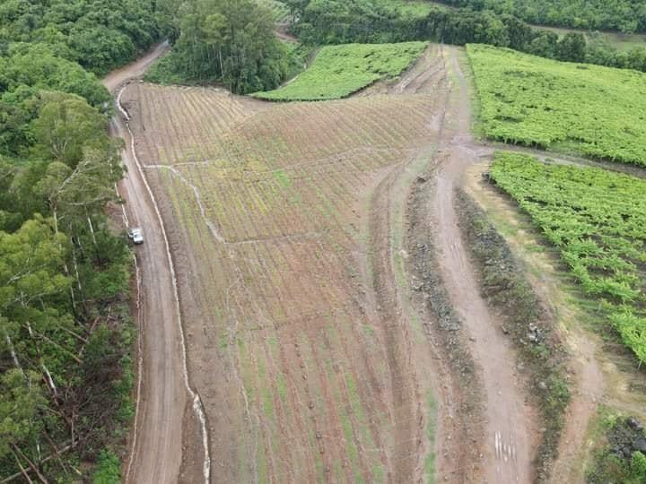 3º BATALHÃO AMBIENTAL DA BRIGADA MILITAR DE VACARIA CUMPRE OPERAÇÃO FORÇA VERDE EM CAMPESTRE DA SERRA