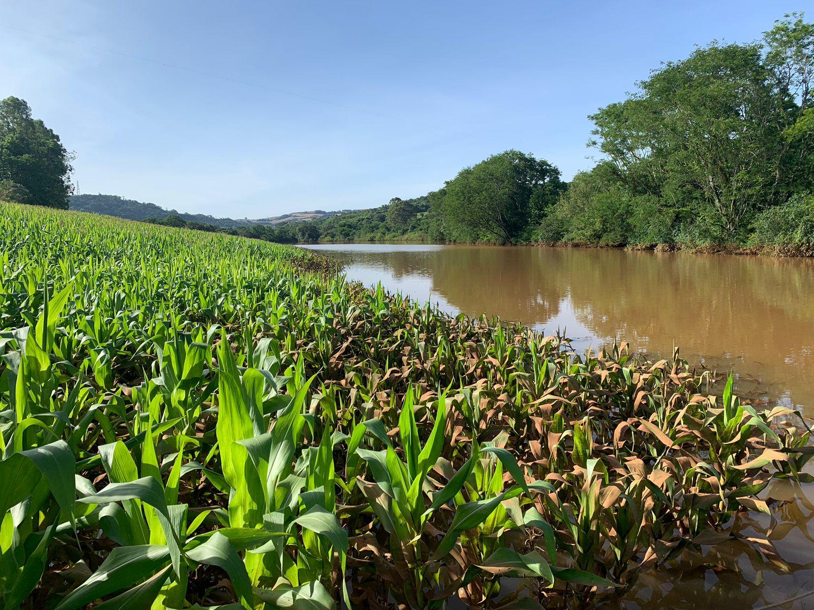 Estado divulga último levantamento do impacto das chuvas na produção rural