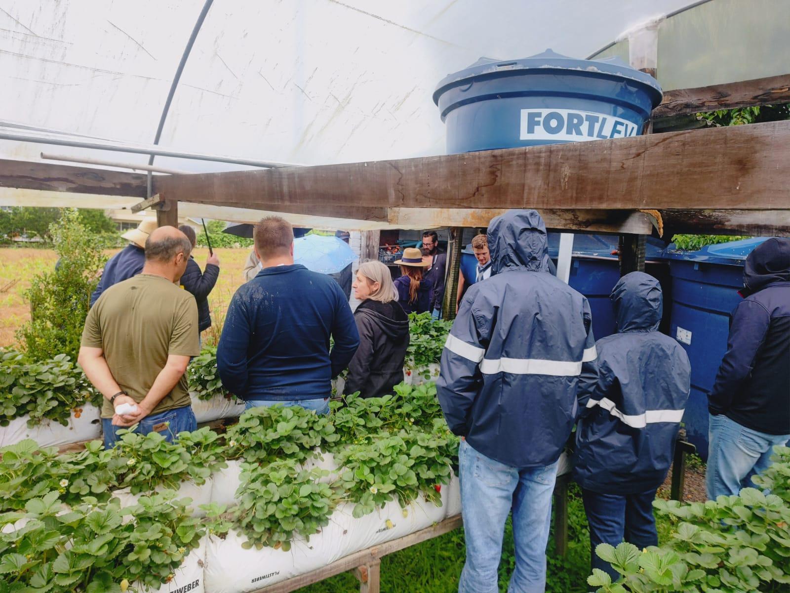 Extensionistas da região da Serra participam de Curso de Irrigação na Produção do Morango