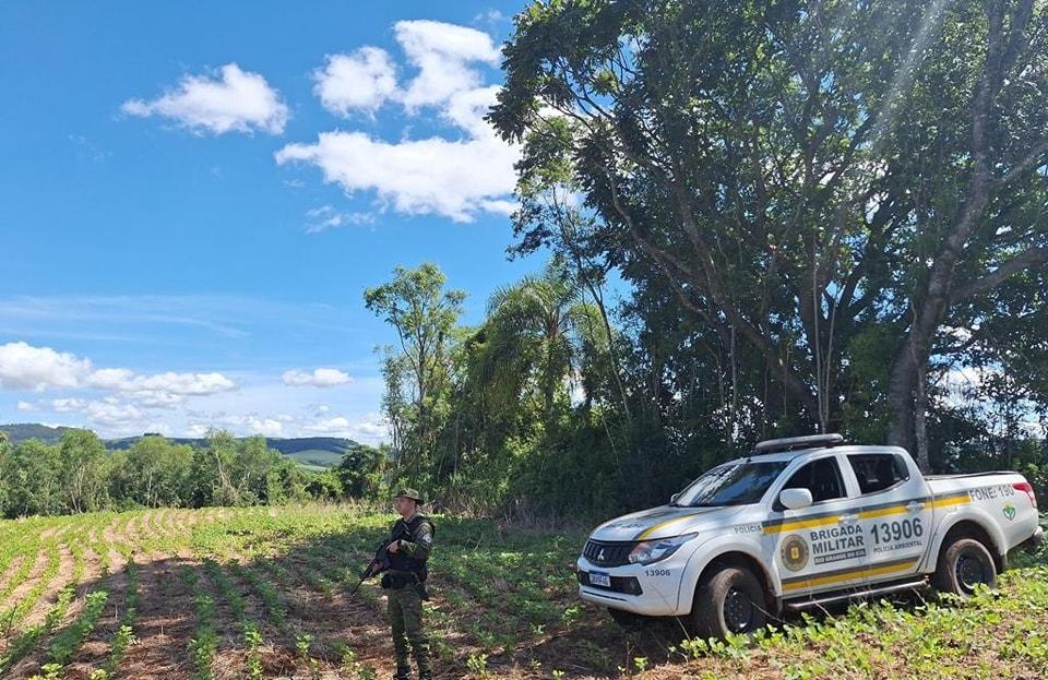 3º Batalhão Ambiental da Brigada Militar flagra área desmatada em Maximiliano de Almeida