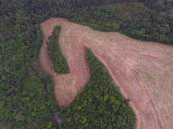 3º Batalhão Ambiental da Brigada Militar flagra desmatamento em Barão de Cotegipe