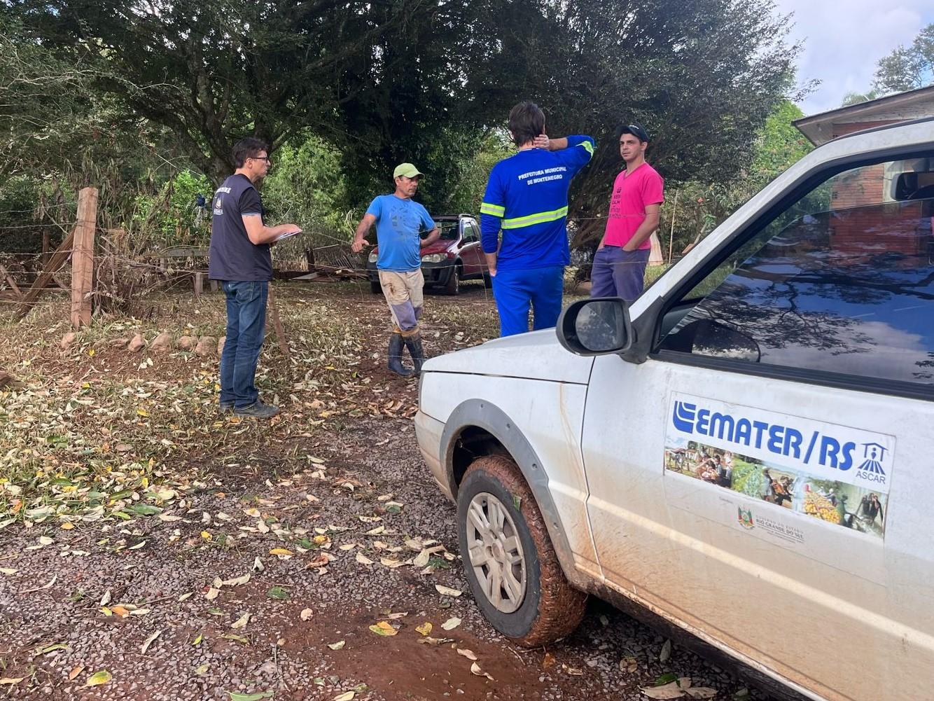 Citros têm produção impactada pelas chuvas no RS