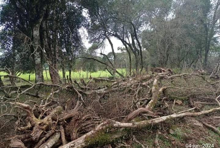 PATRAM ATENDE OCORRÊNCIAS DE DESMATAMENTO NO MUNICÍPIO DE PINHAL DA SERRA