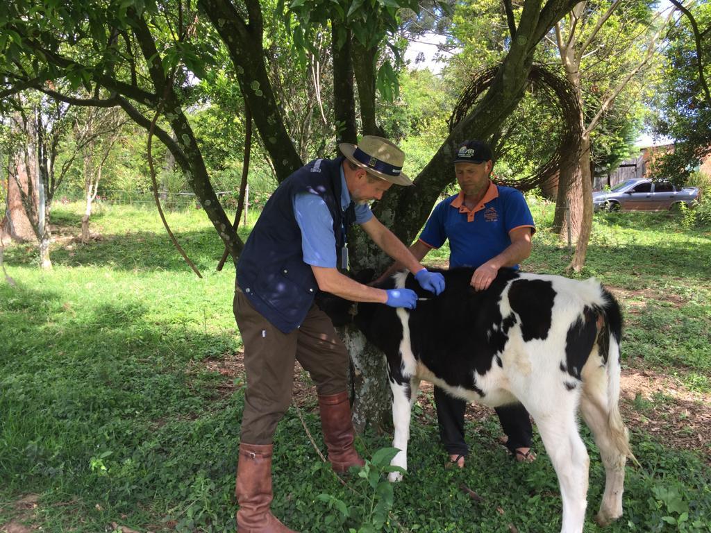 Dia do Veterinário: 