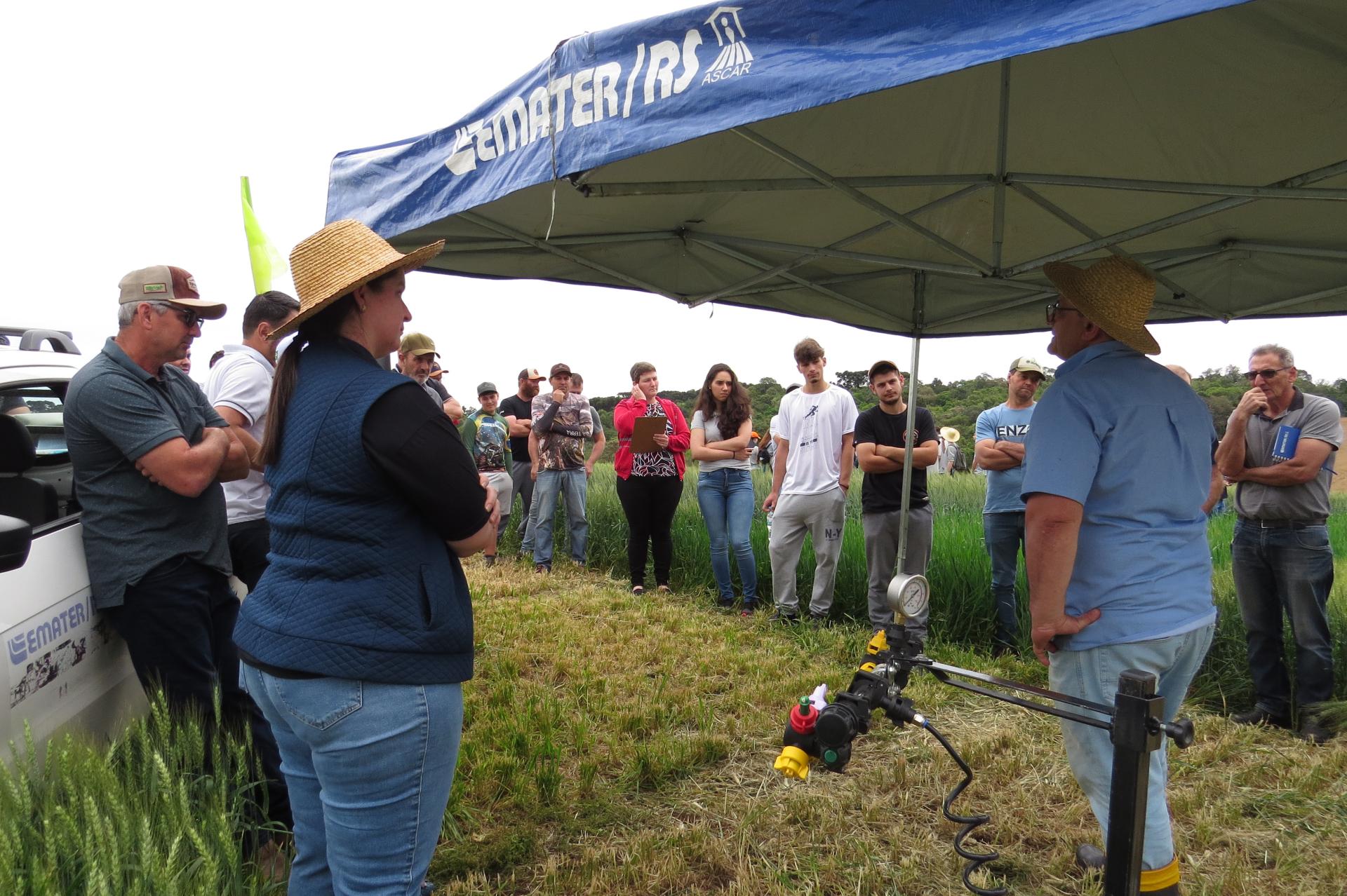 Dia de campo em Vila Flores reúne produtores interessados na cultura do trigo