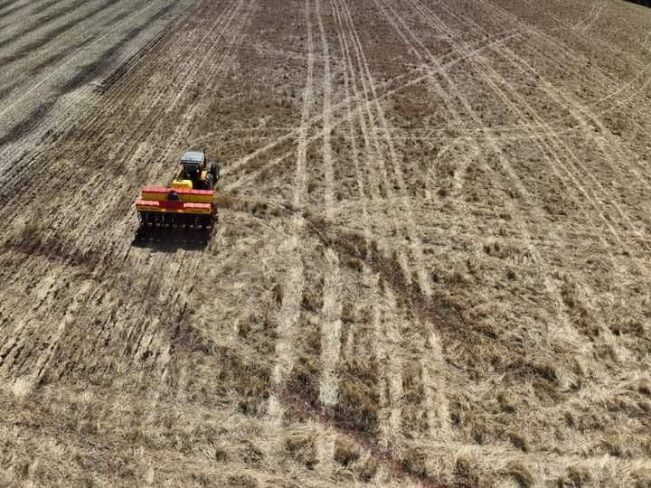 Menos chuvas reduz ritmo de plantio da soja que está com a situação das lavouras boa