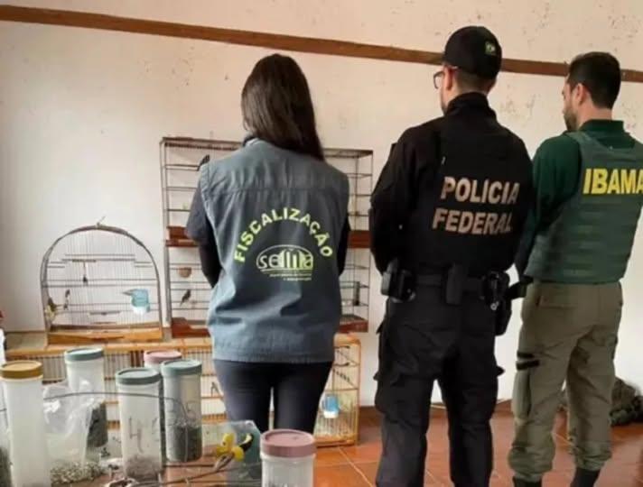 Polícia Federal desarticula esquema que desviava animais silvestres de centro de triagem do Ibama no RS