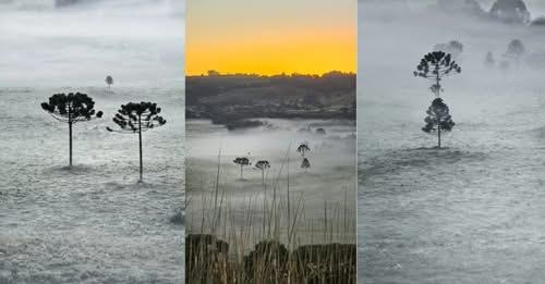 Primeira geada do ano é registrada na Serra Catarinense